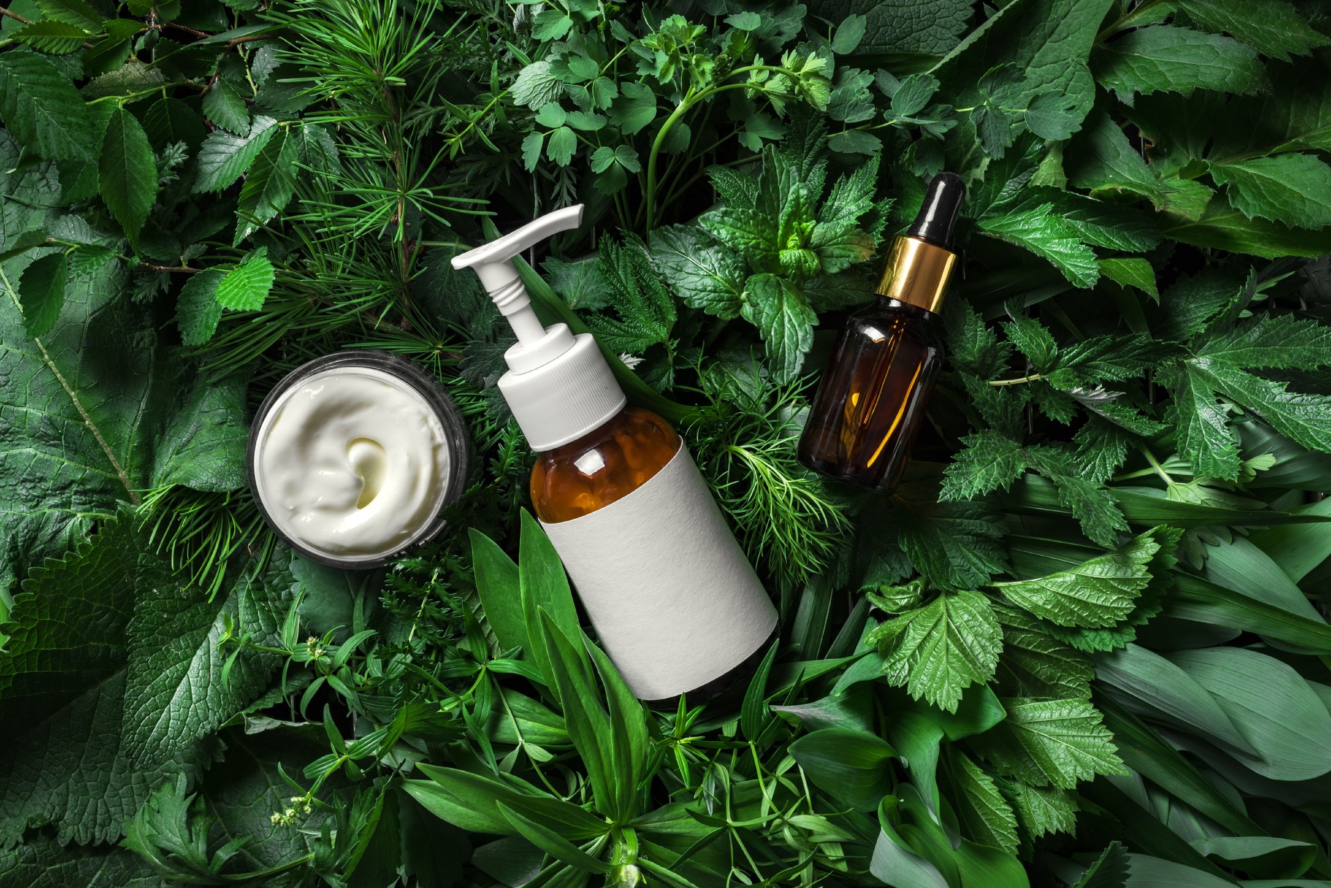Produits cosmétiques de soins de la peau sur feuilles vertes