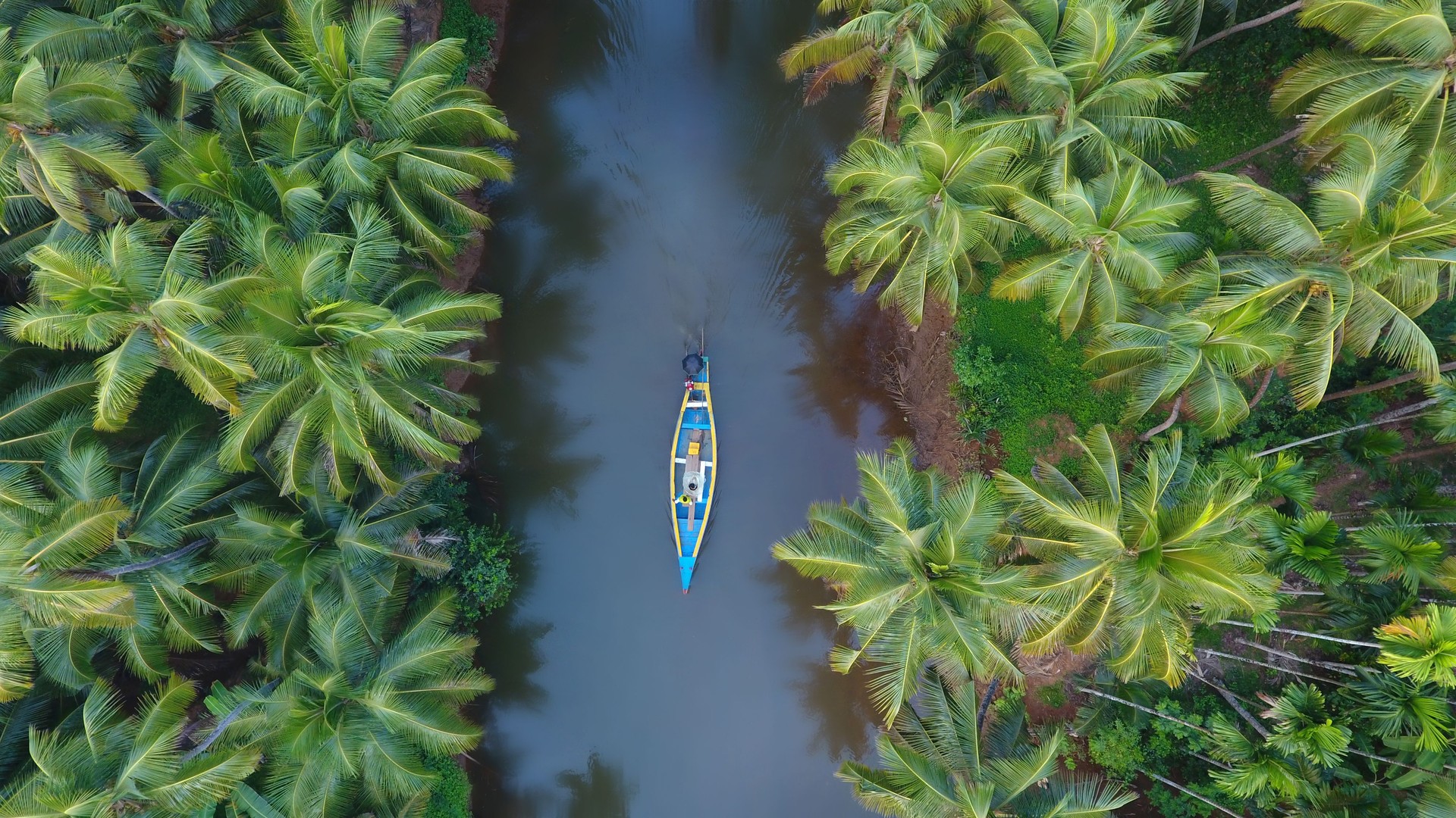 Kerala le plus bel endroit de l’Inde