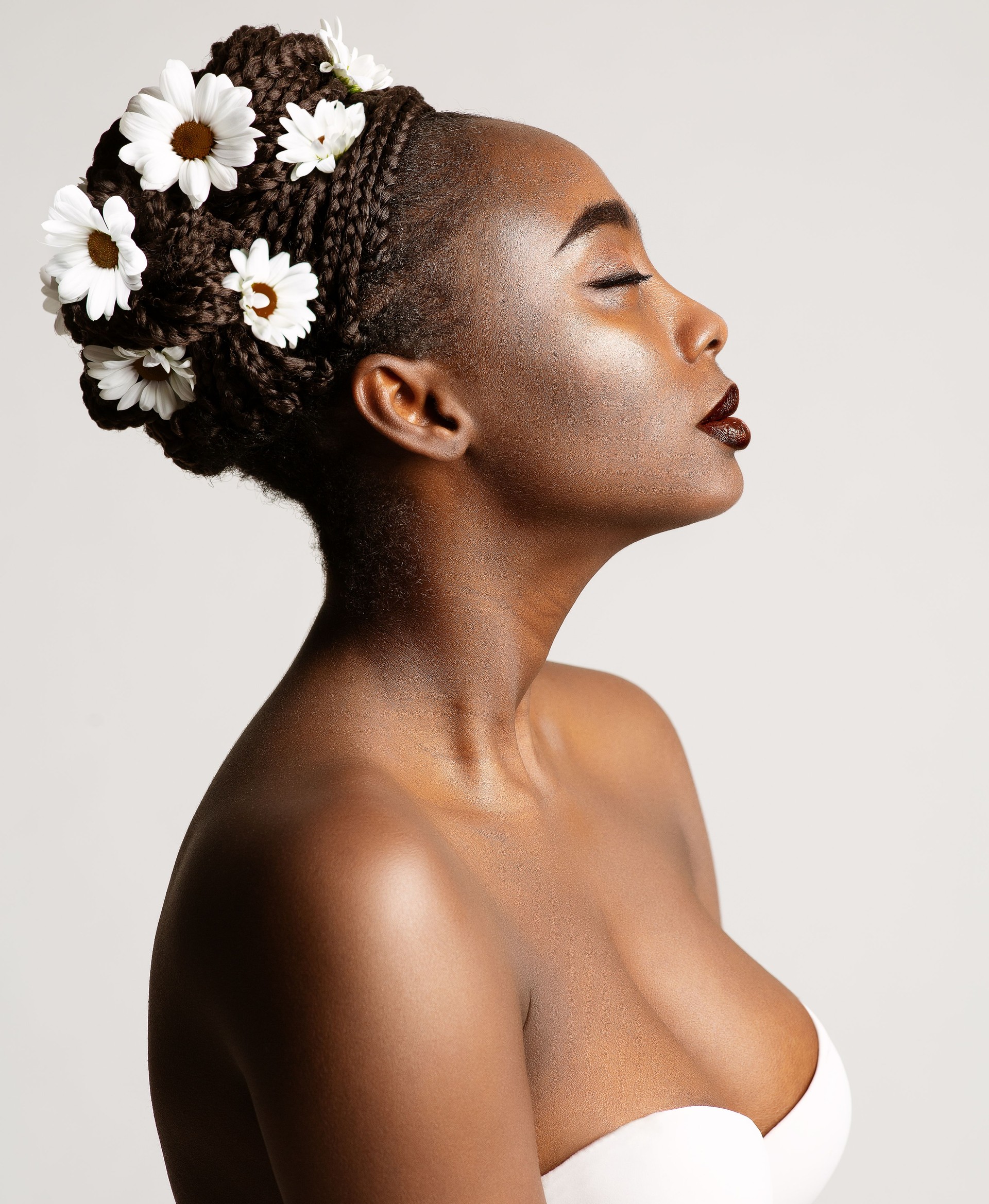 Profil de beauté d’une femme afro-américaine avec des fleurs de camomille blanche en tresses de cheveux noirs. Portrait de mode du modèle à la peau foncée sur blanc. Maquillage de mariage et bride Cornrows Coiffure